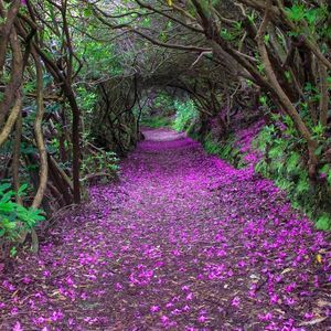 Meet your Posher, Sissy